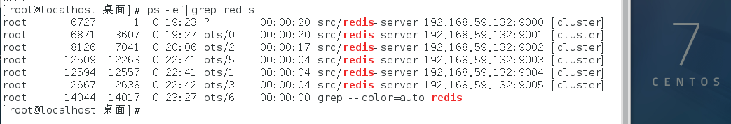 redis-cluster